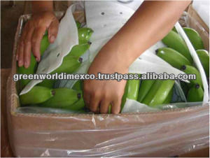 VIETNAMESE GREEN CAVENDISH BANANA WITH CHEAP PRICE