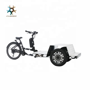 luna handicap tricycle