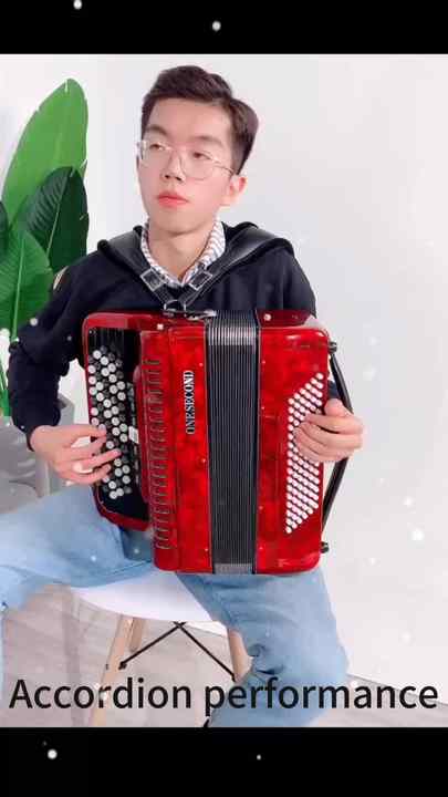 Children's Piano Gift Toy Accordion - 7-Key Chromatic