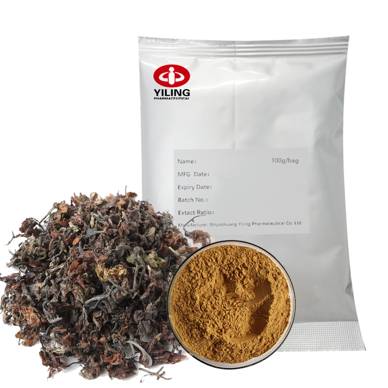Yiling натуральное растительное сырье травяные водоросли экстракт порошок/гранулы оригинал