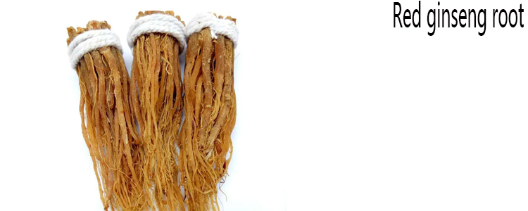 Free Samples Raw Panax Ginseng Red Ginseng Extract