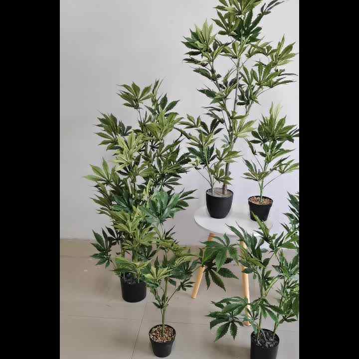 air plant pots Packs of 3, 6 or 9 Gray Ceramic Stone Air Plant Holder with Assorted Air Plants, 3 pack