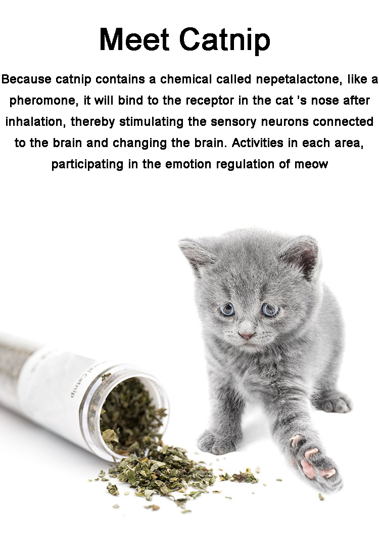 Hot Sale New Design Pet Toy Fresh Catnip Nature Bottle Catnip for cats