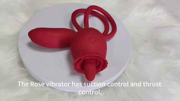 Rose Sucking Vibrator Clitoral Stimulator Vibrating Egg Dual Stimulation Rechargeable Silicone Couples Adult Sex Toys for Women Rose Sucking Vibrator Clitoral Stimulator Vibrating Egg Dual Stimulation Rechargeable Silicone Couples Adult Sex Toys for Women