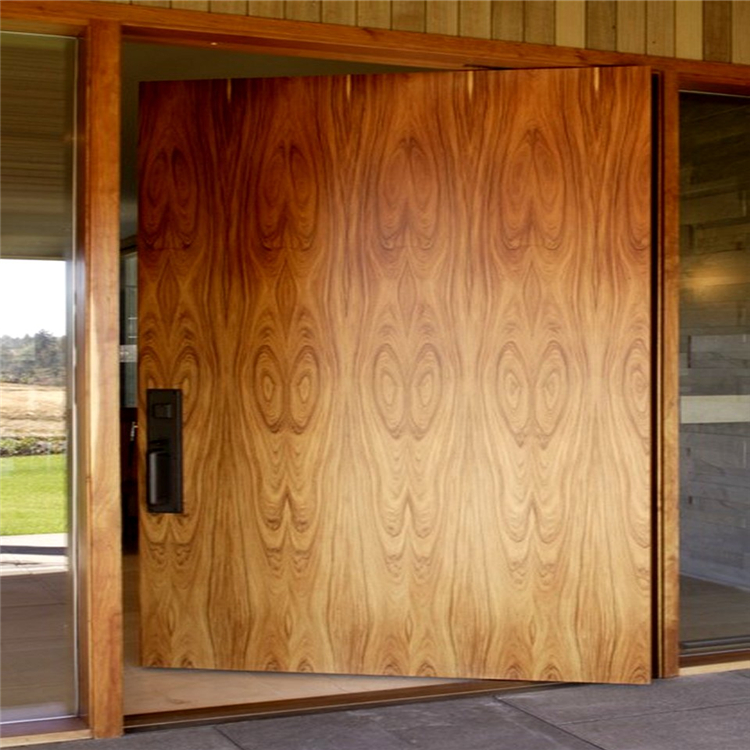 Casa contemporánea entrada de la Oficina de oficina de madera de entrada puertas de