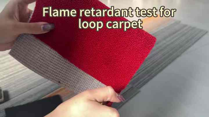 Modern PP Wall-to-Wall Loop Carpet Machine Made Eco Friendly 5mm Thick ...