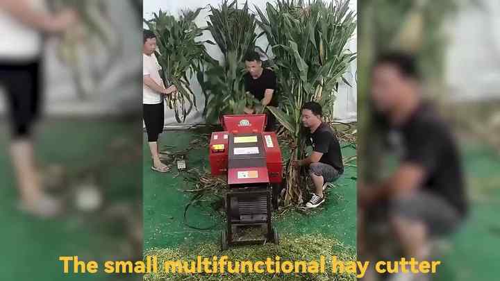 ZZSS Digital Motor Gear Bearing High Capacity Hay Straw Cutting Machine ...