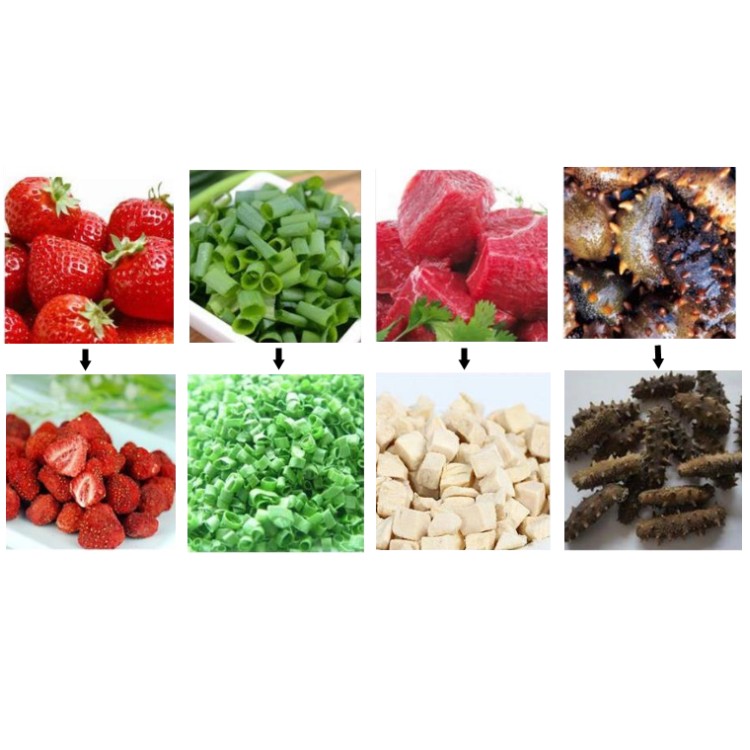 Commercial industrial  lyophilize australia food vacuum freeze dryer machine