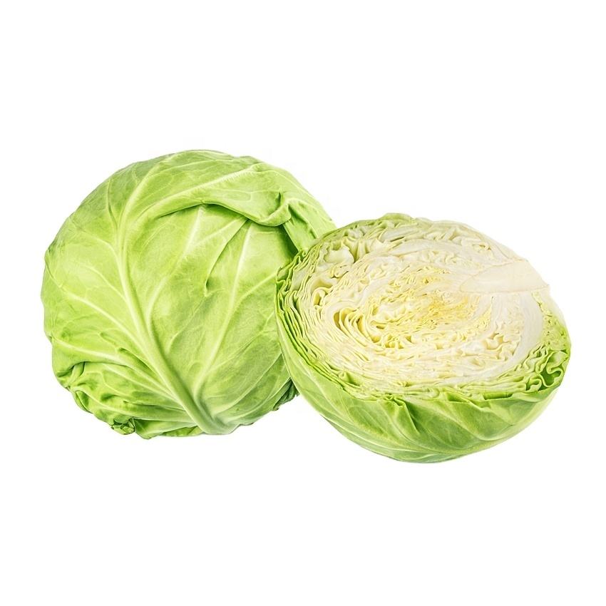 "White Cabbage" Изображения: просматривайте стоковые фотографии, векторные изобр
