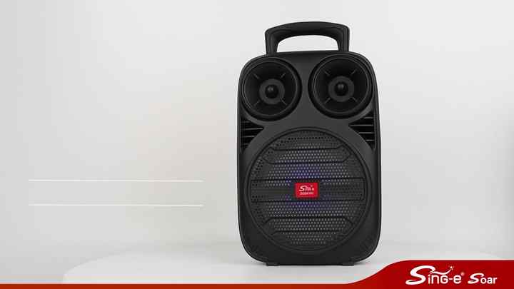 Sing-e ZQS6162 Bluetooth Karaoke Speaker with RGB LED Lights