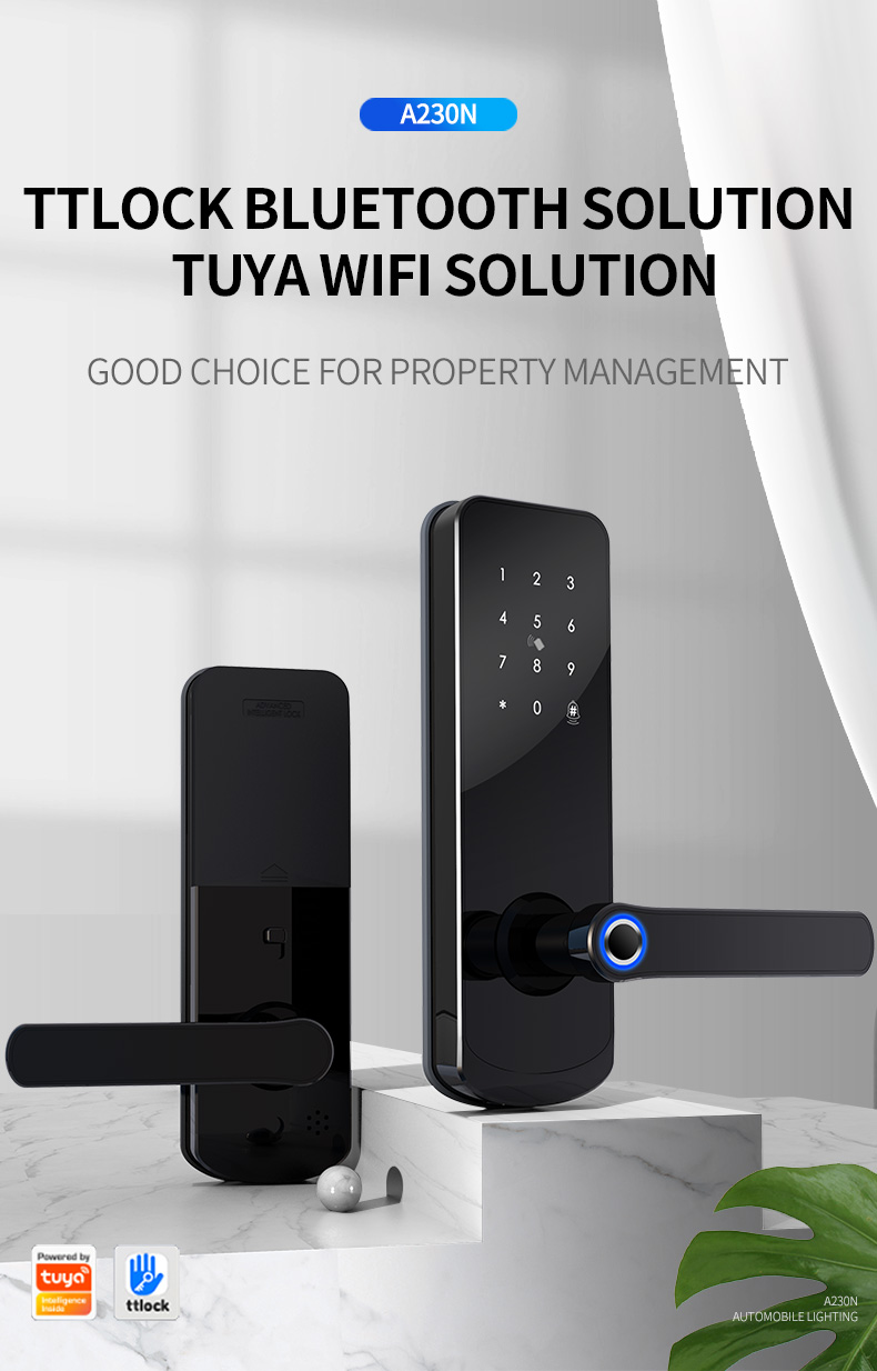 Biometric door bell special functioned home tuya app smart lock