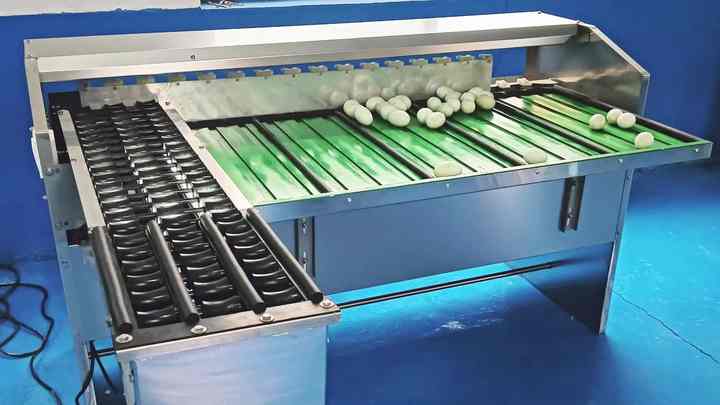 Hatchery Manual Inspection Sorting Machine Layering Farm Sorter Grading ...