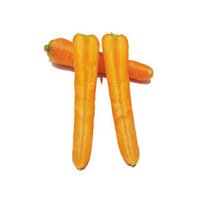 red carrot-red carrot manufacturers, suppliers and exporters on