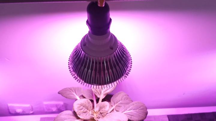 Liweida UV Plant E27 Grow Light IP65 Full Spectrum PAR38 150 LEDs Bloom  Support for Indoor Plants Replace 100W Bulb