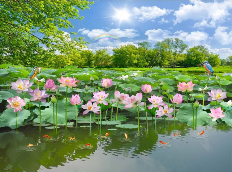 莲花池塘壁纸设计自然风光墙壁壁画风景绘画 3d 壁纸