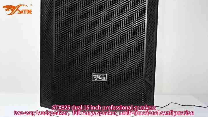 STX 800シリーズ コンサート用DJスピーカー ボックス 12/15/18インチ
