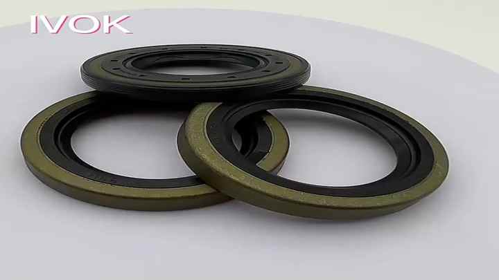 12018654B Gearbox Output Shaft Oil Seal 85*105*13/18 for 1502384 ...