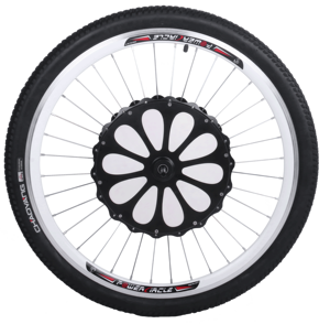 dahon electric conversion kit