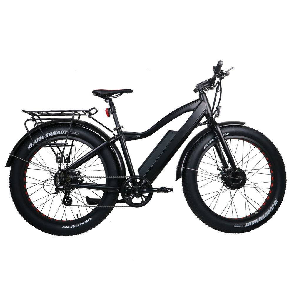 2 wheel drive bicycle for sale