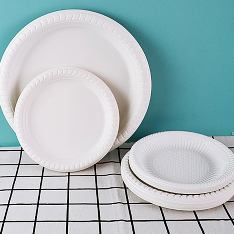 Wholesale white bpa free 11 inches disposable biodegradable plate dish