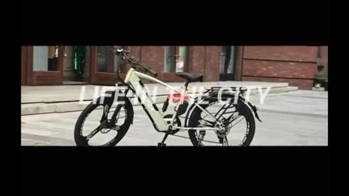 Rear Hub Motor Electric Bike Ebike Elect Modle Steel Dirt Bike