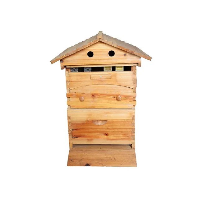 Купить пчела деревянная