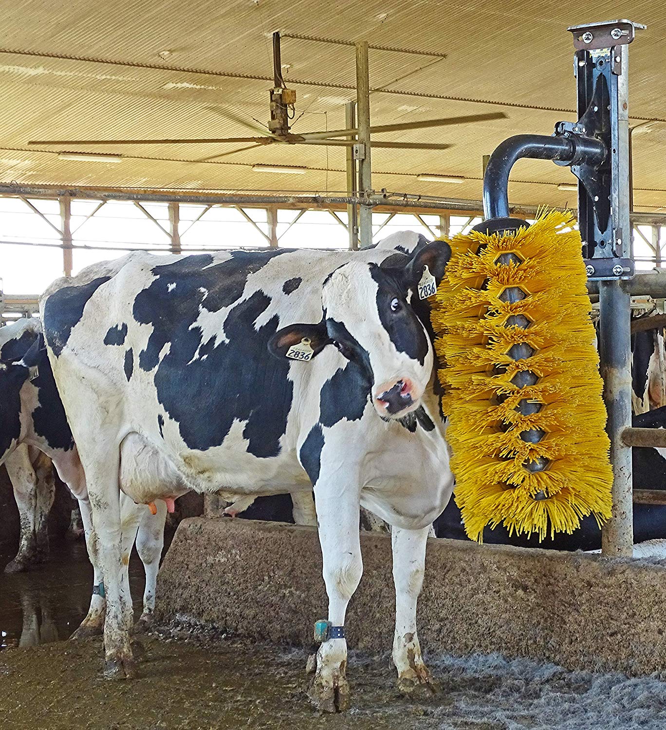 Livestock Grooming Cattle Scratchers Cow Body Brush Nylon Material