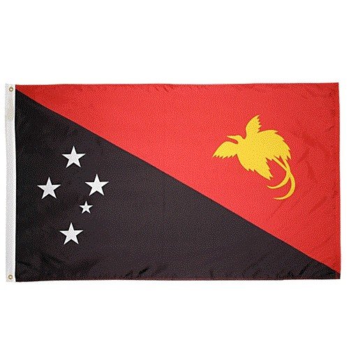 Guinea Flag Coin Wallet For Women Bus