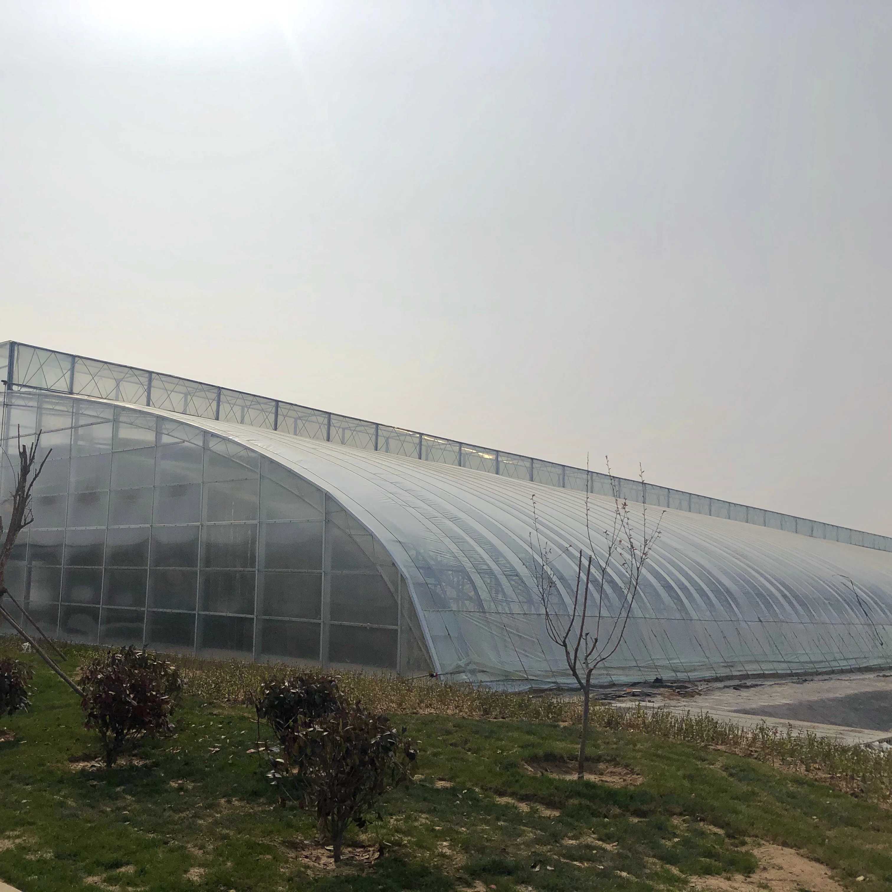 Uv Film High Quality Economic Poly Farm Machinery Nft Hydroponic System Dutch Bucket Plastic Tunnel Multispan Greenhouse