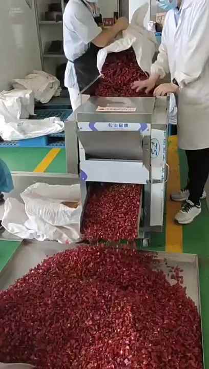 Chili Strawberry Pepper Remover Removal Seed Extract Chilli Seeds Removing  Machine with Factory Price