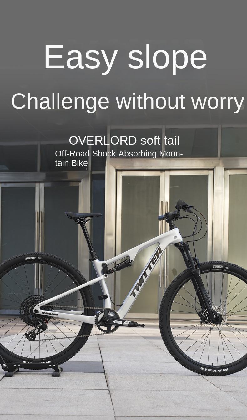 Hot Selling Twitter Full Suspension Carbon Mountain Bike with