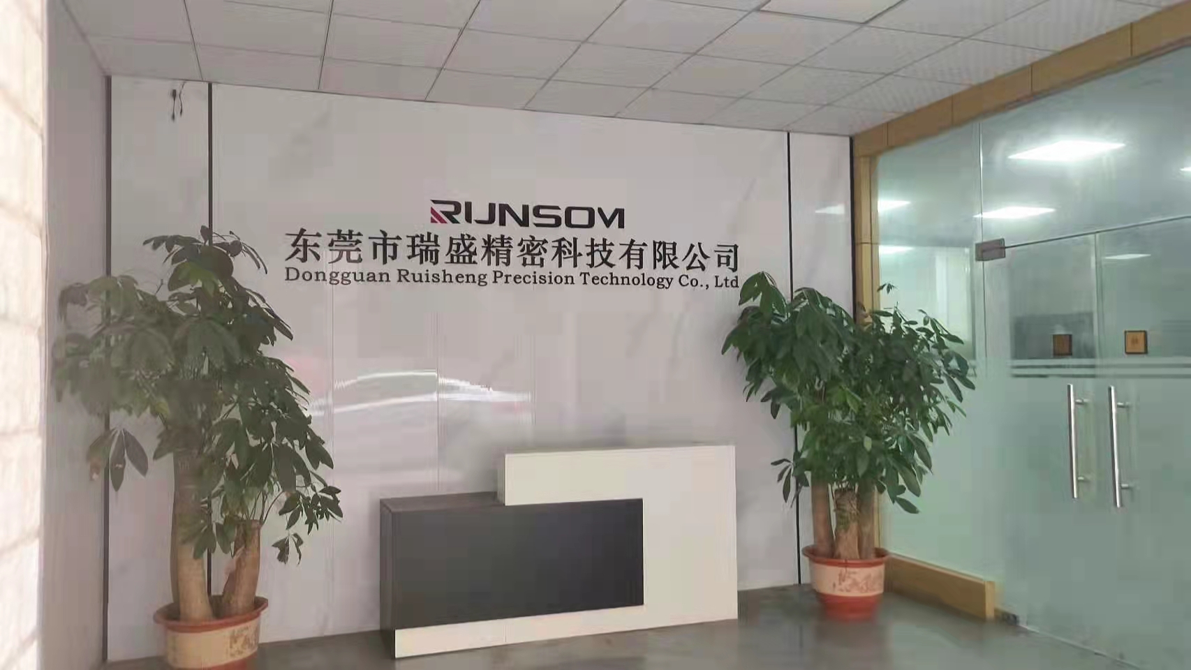Dongguan Ruisheng Precision Technology Co., Ltd.