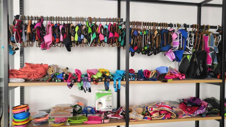 Company Overview Yangzhou Aiya Pet Products Co., Ltd.