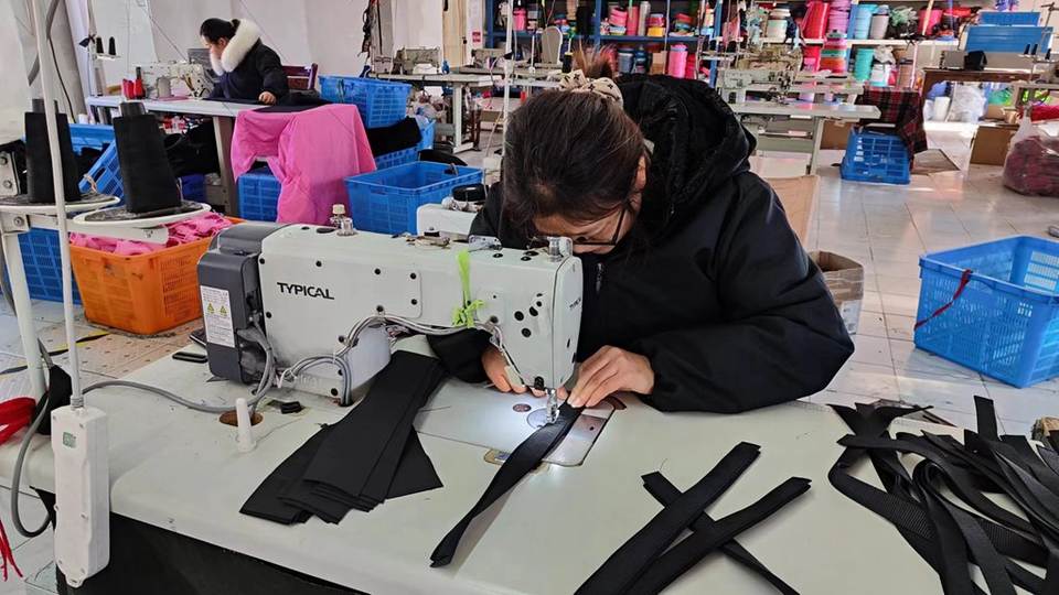 Company Overview Yangzhou Aiya Pet Products Co., Ltd.