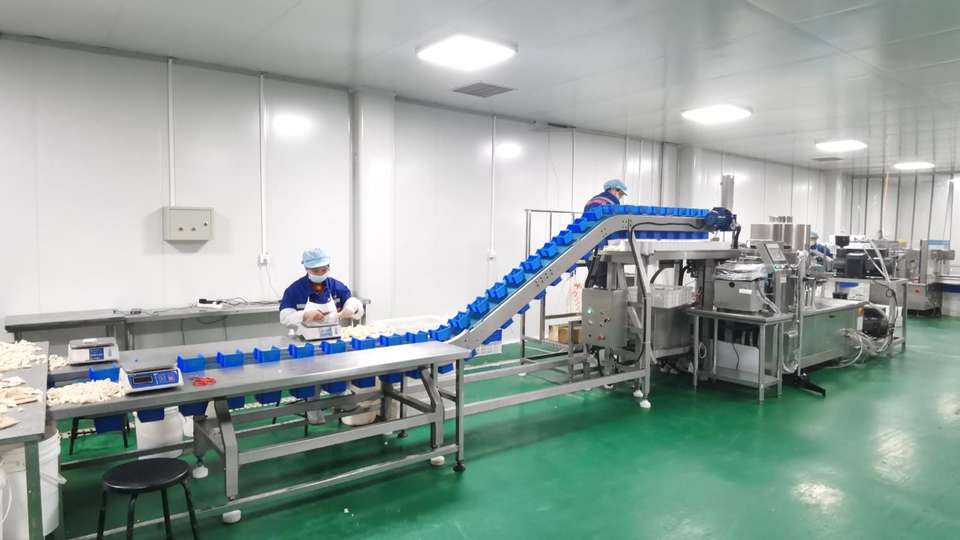 Company Overview Xingtai Nuode Pet Products Co., Ltd.