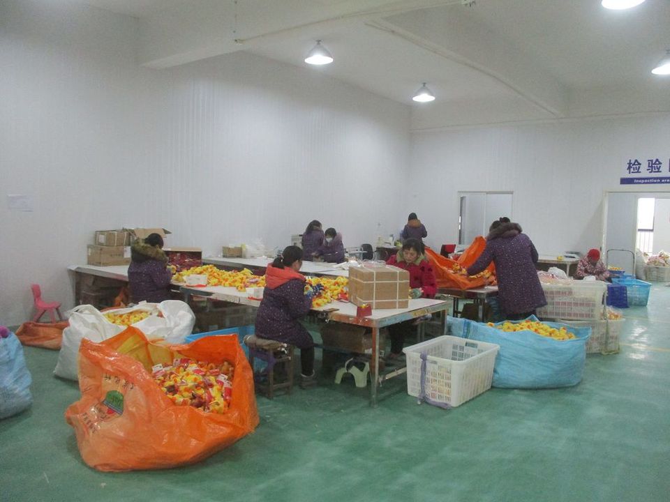 Company Overview Shanghai Fantastic Pet Product Co., Ltd.