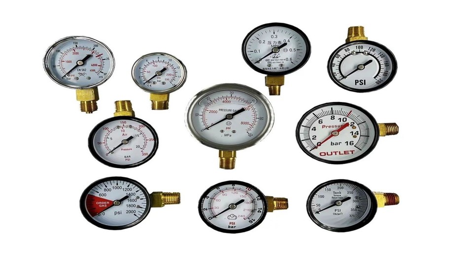 Company Overview Linhai Pressure Gauge Co., Ltd.