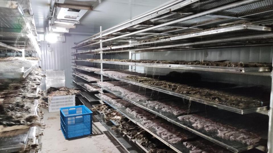 Company Overview Qingdao Haiyi Hair Products Co., Ltd.