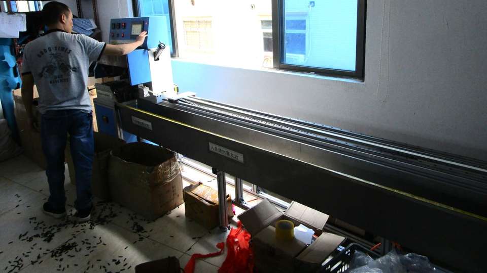 Company Overview Dongguan Topbuddy Pet Products Co., Ltd.