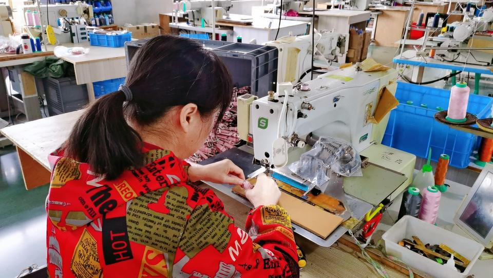 Company Overview Polygon (wenzhou) Pet Products Co., Ltd.