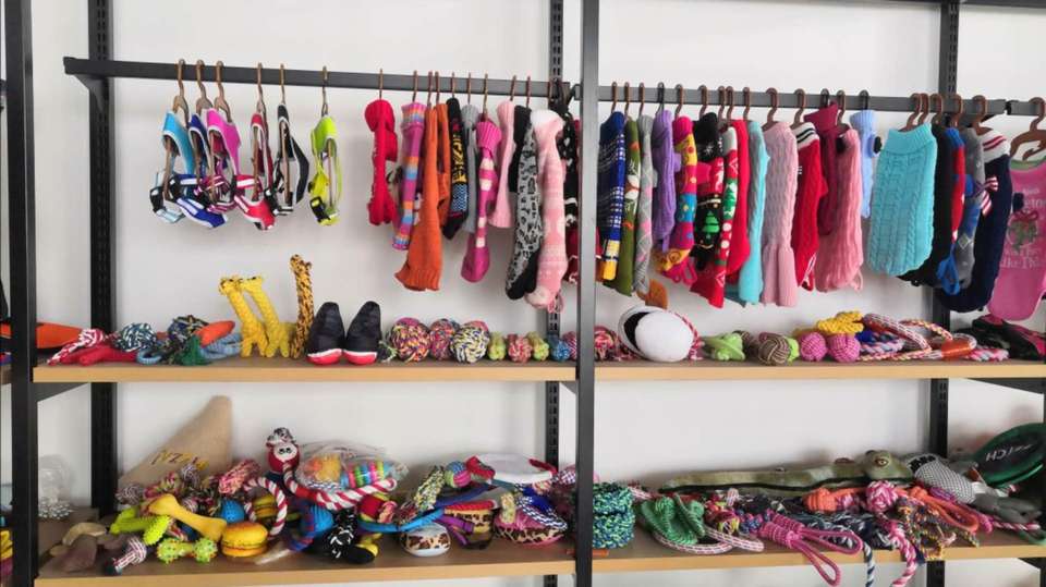 Company Overview Yangzhou Aiya Pet Products Co., Ltd.