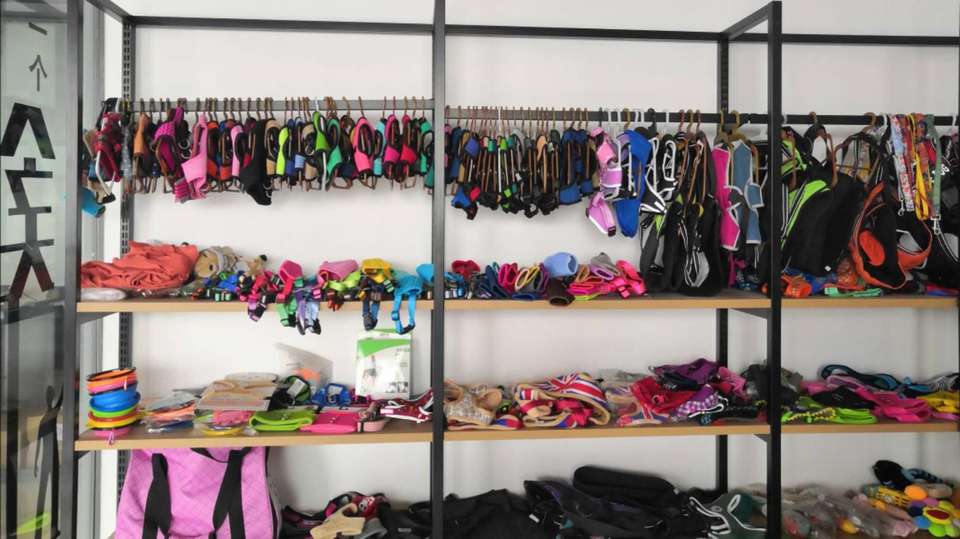 Company Overview Yangzhou Aiya Pet Products Co., Ltd.