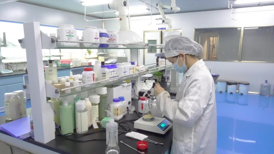 Company Overview Worafy (Shenzhen) Pet Products Co., Ltd.