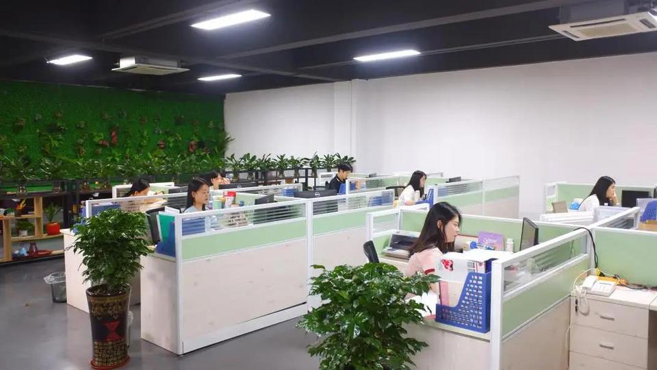 Company Overview Shenzhen Lightall Optoelectronic Co., Limited