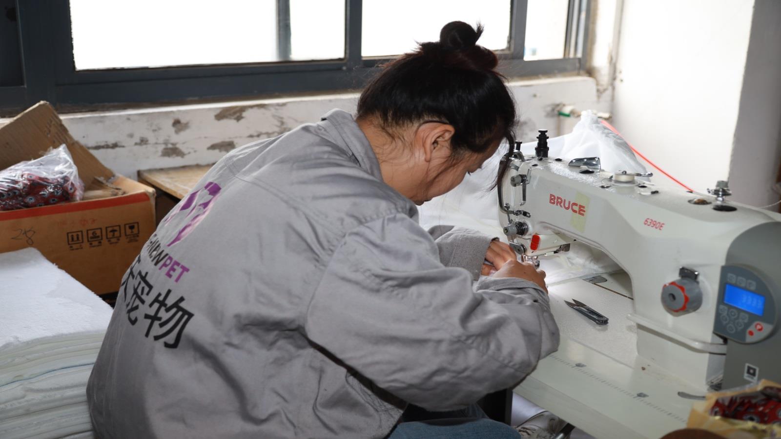 Hefei Longnew Pet Products Co., Ltd.