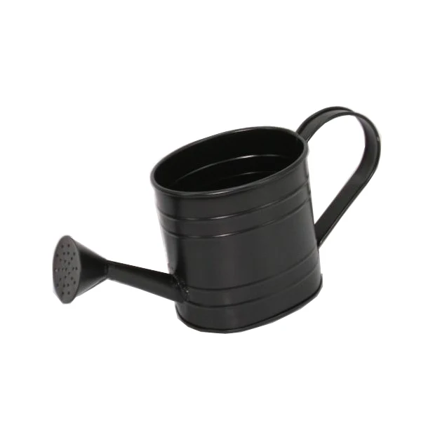 Hot Sale Metal Watering Can For Home Garden