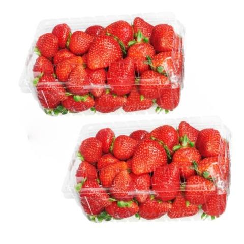 safe seal tamper alert hinge food container, safe seal tamper