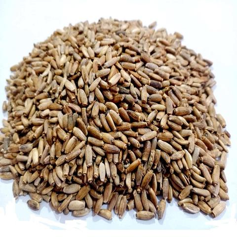 奶蓟种子-水飞蓟籽