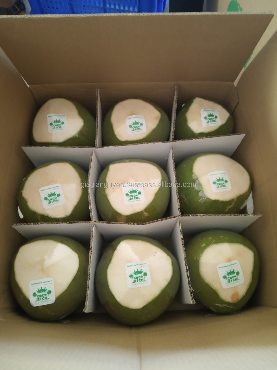 越南新鲜绿皮椰子 - buy shell-less coconut,coconut ball,fresh