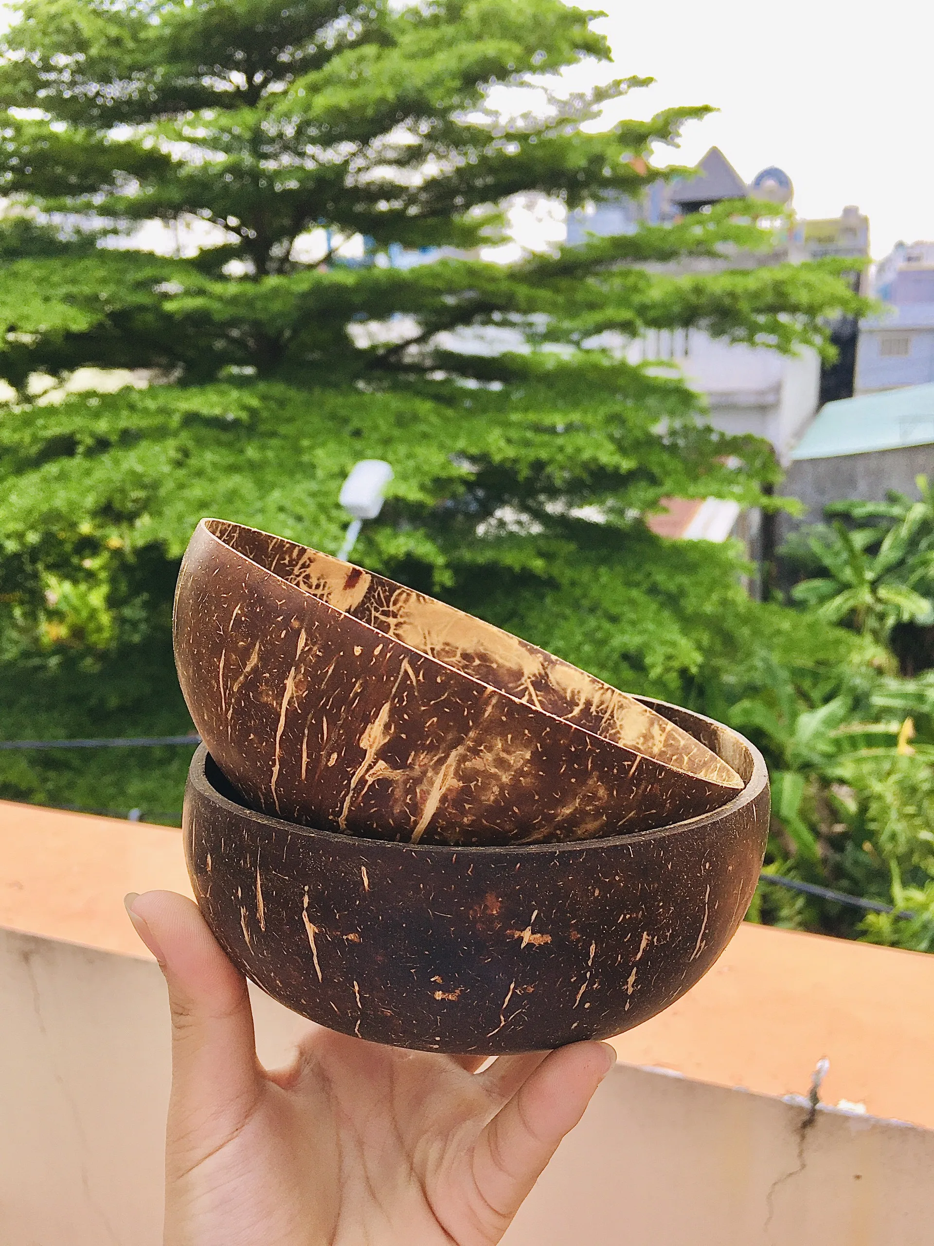 Coconut Bowl Eco-friendly Natural Fruit Salad Food and Smoothie with Custom Logo/ 100% real coconut shell bowl high quality